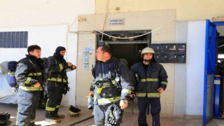 Bodrum katta çıkan yangın sonrası yavru kedi alarmı