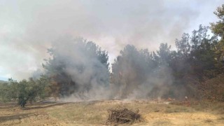 Bursada korkutan orman yangını
