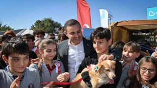 Büyükşehir kampanya ile 500ün üzerinde can dostunu sahiplendirdi