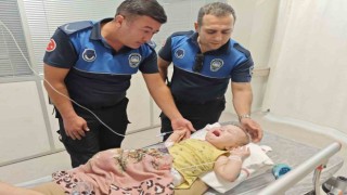 Büyükşehir Zabıtadan hayati müdahale