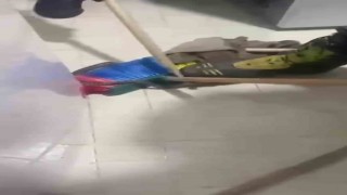 Buzdolabının altına saklanan yılanı itfaiye yakaladı