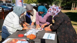 Çamelinde kadınlara doğal yollarla ‘alıç sirkesi yapımı eğitimi