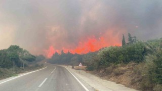 Çanakkalede ormanlara giriş yasağı 30 Kasıma kadar uzatıldı