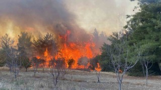Çanakkaledeki orman yangınında 2 kişi gözaltına alındı
