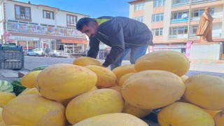Çemişgezekin her mevsime dirençli kış kavunu tezgahlardaki yerini aldı