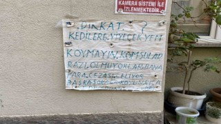 Ceza yediğini öne sürerek evinin önünde kedilere yem konulmamasını istedi