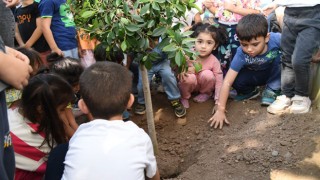 Çocuklar Fidan Dikerek Doğaya Can Verdi
