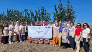 Çorumda “BizimOralı kadınların şifalı safran ve sarımsak projesine OKA desteği