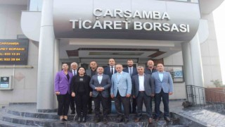 ÇTBde gündem ‘kahverengi kokarca