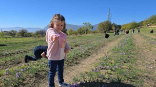 Cumhuriyet Bayramı tatili Safranboluya yaradı