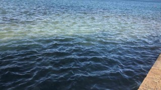 Datçada atıksu borusu patladı, denizin rengi değişti