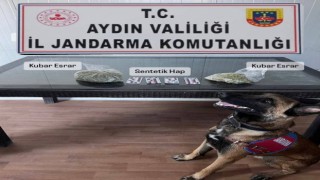 Delta, valizdeki uyuşturucuyu buldu
