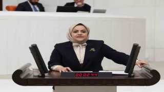 Denizli milletvekili Ün yenidoğan çetesi üzerinden eleştirilerde bulundu