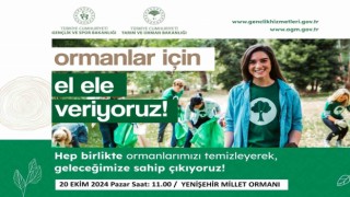 Denizlide orman temizliği yapılacak