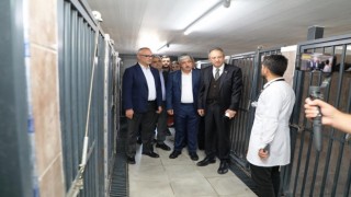 Dilovasında hayvanları koruma gününde farkındalık