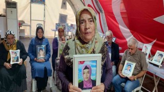 Diyarbakır anneleri 6 yıldır evlatlarının yolunu gözlüyor