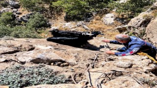 Diyarbakırda kurt saldırısından kaçan keçiler uçurumda mahsur kaldı
