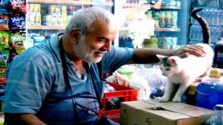Diyarbakırda sokak hayvanları için çağrı
