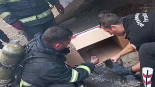 Diyarbakırda yangında mahsur kalan yavru kedileri itfaiye erleri kurtardı