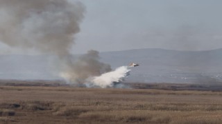 Eber Gölündeki yangın havadan yapılan müdahaleyle söndürüldü