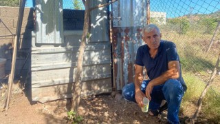 Emekli Jandarmanın 10 Yıllık Tavukları Çalındı: "Çocuklarınıza Sahip Çıkın"