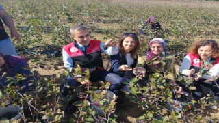 Erdek Kaymakamı Atasoydan Dünya Kadın Çiftçiler Günü Ziyareti