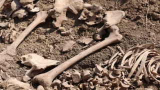 Ermenistan işgalinden kurtarılan Azerbaycan topraklarında yeni toplu mezarlar bulundu