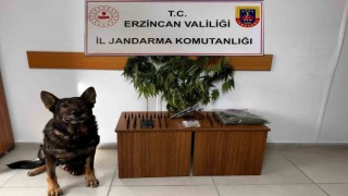 Erzincanda jandarma suç olaylarına geçit vermiyor