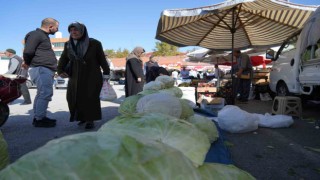 Erzincanda turşuluk ve yemeklik lahanalar tezgahta yerini aldı