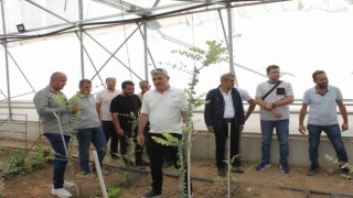 Erzincandan Tokat ve Samsuna inceleme gezisi