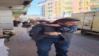 Evcil karga ekmeğinin peşinde: Karnını doyurduktan sonra öpücük atıp gidiyor