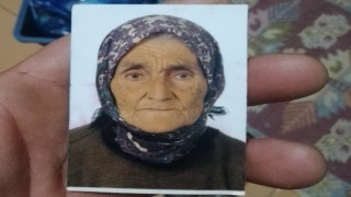 Evinin bahçesindeki yaşlı kadını domuz sanıp ölümüne sebep oldu