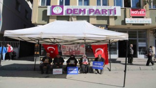 Evlat nöbetindeki annelerden Bahçelinin çağrısına destek