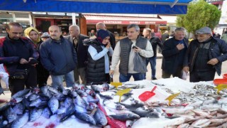 Fırtına dindi, balık tezgahları şenlendi