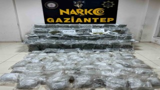 Gaziantepte 86 kilo 650 gram skunk ve 37 kilo 200 gram metamfetamin ele geçirildi