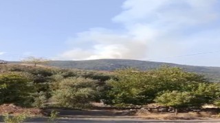 Gaziantepte orman yangını
