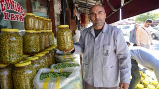 Gaziantepte yeşil zeytinler tezgaha indi