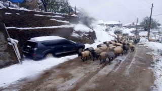 Giresunda kar yağışı nedeniyle mahsur kalan çobanlar kurtarıldı