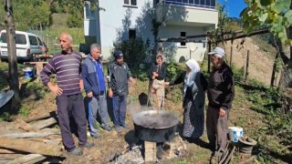 Giresunun Kulakkaya Yaylasında geleneksel armut pekmezi yapımı başladı