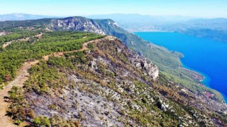 Gökovada alevlerin önünü kesmek için 6,5 kilometre yangın şeridi açıldı