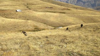 Hakkaride araç şarampole yuvarlandı: 1 yaralı