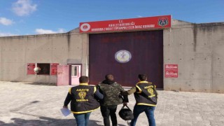 Hapis cezası bulunan 12 şahıs yakalandı