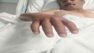 Hatayda çiftçiyi narenciye toplarken yılan soktu