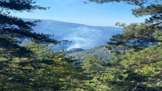 Hatayda orman yangını