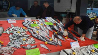 Hava şartları balık fiyatlarını etkiledi