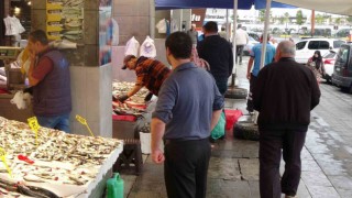 Havalar serinledi, palamuda ilgi arttı