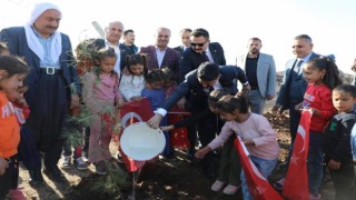 Hediyesini alan ağaç dikti