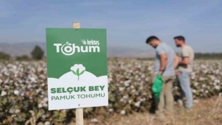 Hektaşın hedefi tohumda bağımsızlık