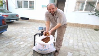 Hisarcık elma kurusunun fiyatı 35 TLye yükseldi