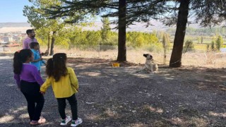 Hisarcıkta özel öğrencilere hayvanlar tanıtıldı
